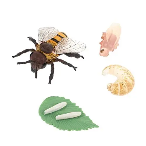 Produktbild: 1 Satz Hirschkäfer Wachstumswoche zabawki stymulujące rozwój Educational Toys lebenszyklus Tiere Lernspielzeug für Kinder Modelle Spielzeuge Honigbienen-Spielzeug Insektenfiguren