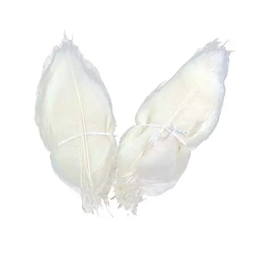 Produktbild: 100 Stück Magnolienblatt-Muster Getrocknete Blumen Lesezeichen Weißes Dekor Weiße Trockenblumen Trockenblumen Für Dekoration DIY-Materialien Baumblätter Hochzeit Holz