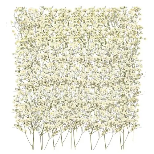 Produktbild: 100 Stück Schleierkraut Getrocknet Trockenblumen Weiß Getrocknete Blumen Klein Baby’s Breath Blumen für DIY Kerze Harz Schmuck Nagel Kunst Basteln
