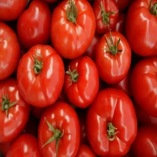 Produktbild: 100 Stück frische Tomaten-Gemüsesamen