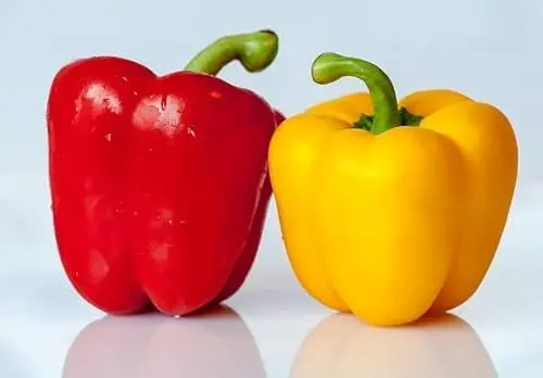 Produktbild: 100 Stück neue frische Paprika-Gemüsesamen