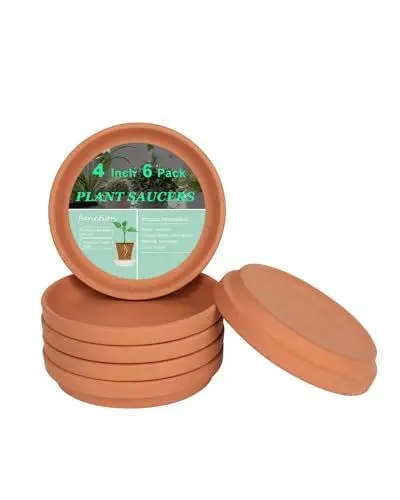 Produktbild: 10CM Kleine Terrakotta Topf Pflanze Untertasse - 6 Stück kleine runde Pflanze Topf Untertassen, kleine Ton Pflanze Schalen perfekt für 7,6CM 8,9CM 10CM Blumentopf mit Drainageloch und ideal für Indoor