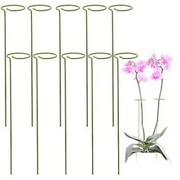 Produktbild: 10er-Pack Rankhilfe Zimmerpflanzen | Pflanzenstütze Rund Für Hohe Pflanzen Und Blumen | Monstera Rankhilfe Für Garten | Pflanzenstäbe Für Orchideen, Amaryllis, Pfingstrosen, Paprika Usw.