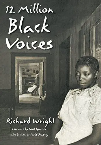 Produktbild: 12 Million Black Voices
