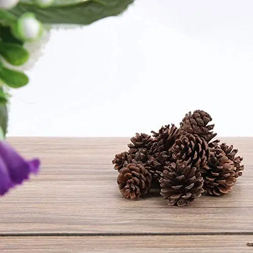 Produktbild: 16 Stück Tannenzapfen Ornament Weihnachtsfeier Hängedekoration