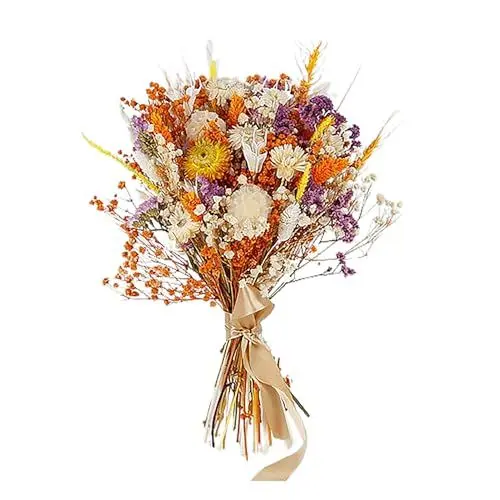 Produktbild: 16,93 Zoll Trockenblumenstrauß, Herbstdekoration, Herbstdekorationen für Zuhause, Konservierte Blumenmischung, Boho-Blumen, Pampasgras, Flauschiger Trockenblumenstrauß für