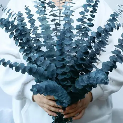 Produktbild: 17 Pcs-blau-getrocknet-konserviert-Eukalyptus-Stängel, 17
