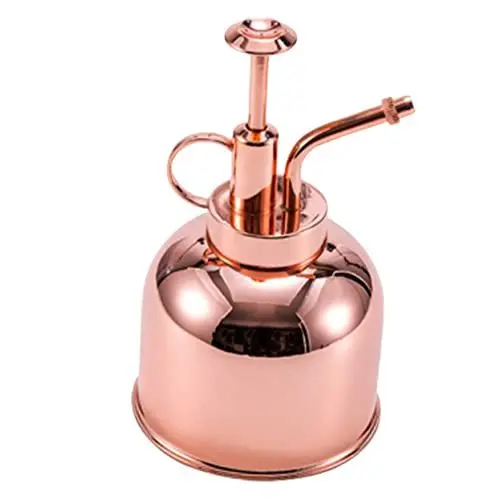 Produktbild: 1stk Gießkanne Aus Edelstahl Dekorative Pflanzen Gießkanne Mit Ausguss Gartenwasser Kann Pump-drucksprüher Zimmerpflanzen Gartensprühflasche Klein Edelstahlgehäuse Anlage Sprit