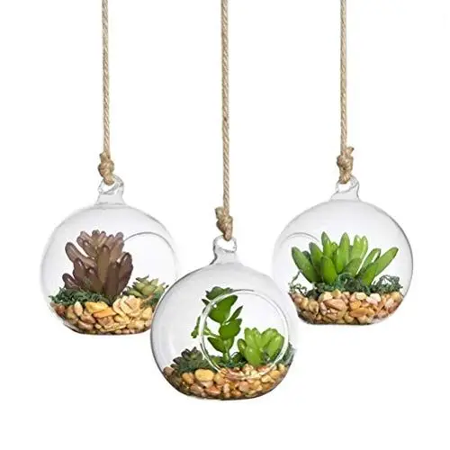 Produktbild: Yardwe 1stk Saftige Luftvase Klare Kugelvase Hochzeitsdekoration Wohnkultur Öffnungsluftfarnvase Kugelpflanzen Terrarium Halter Terrarium Glaskugeln Hängen Glas Rund Hängend Blumen