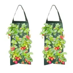 Produktbild: MUYAPAY 2 Stück Erdbeer Pflanzsack Hängend, Vertikal Pflanztasche Hängend, Erdbeeren Pflanzen Pflanzsäcke für Draussen, Pflanzbeutel Hängend mit 8 Löchern für Erdbeer Tomaten Kräuter Gemüse (Grün)