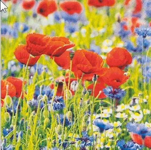 Produktbild: 20 Servietten Sonnige Mohnblumen/Blumen/Sommer 33x33cm