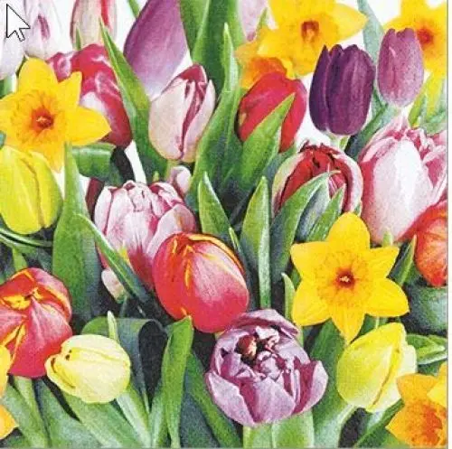 Produktbild: 20 Servietten Tulpen Frühling Tulpenstrauß 33 x 33cm