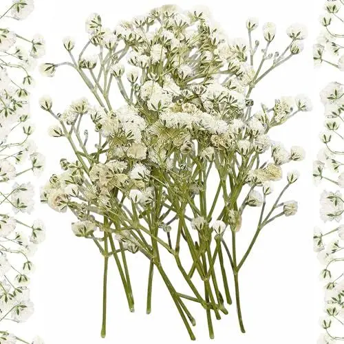 Produktbild: 10 Stück Getrocknete Blumen Trockenblumen Klein Baby’s Breath Blumen Echte Natur, Weiß und Zart, für DIY Kerze Harz Schmuck Nagel Kunst Basteln