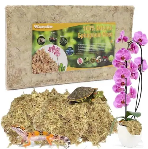 Produktbild: 200g Sphagnum Moos für Pflanzen Orchideen Terrarium Blumenerde Zimmerpflanzen Feuchtigkeitsspendende Ernährung Organisches Torfmoos Organischer Dünger für Phalaenopsismit Gelbsticker Trauermücken