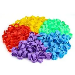 Produktbild: 250 Stück Hühnerringe, PARFCO 16mm Hähnchen Beinringe, Plastik Geflügel Fußringe, Klar und Leicht Verständlich Markierungsringe, Abnehmbare Taubenringe für Hühner, Gänse, Enten und Bauernhof
