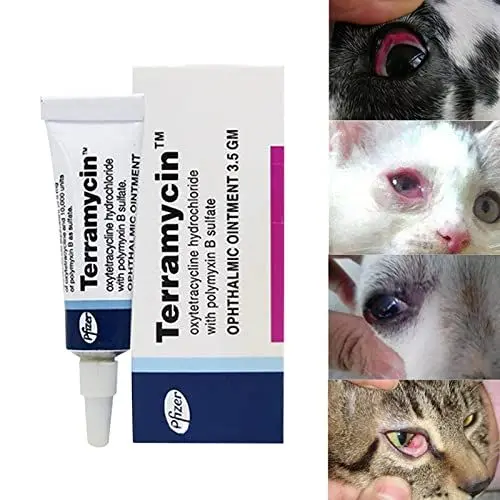 Produktbild: 1pc Augensalbe Katze, Augensalbe Hund, Augensalbe Katze Hund, Augensalbe Hund Katze, Augen-Pflege für Katze Hunde, Augensalbe Katze Hundg, Augensalbe Trockene Augen