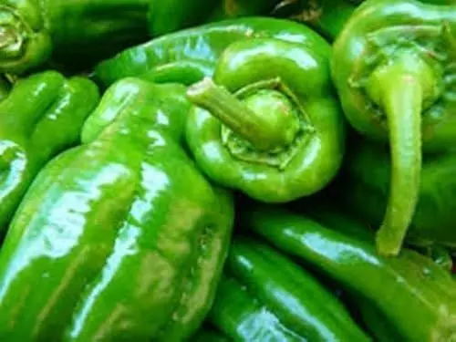 Produktbild: 50 Stück Paprika-Gemüsesamen