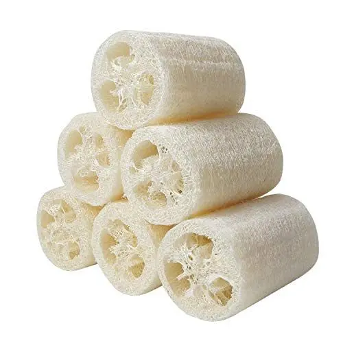 Produktbild: 6 Stücke Luffa Schwamm Natürliche, 10cm Luffa Gurke Entfernen Dead Skin zur Körperpflege Bad und Dusche Küche Luffaschwamm Peeling Naturschwamm (Weiß - b)
