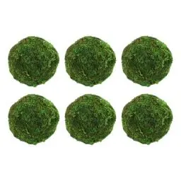 Produktbild: 6st Getrocknete Mooskugeln Künstliche Moossteine Aquarium Mooskugel Grünes Moos Zum Basteln Brötchen Moos Grüne Bälle Hängende Bälle Ball Saftig Getrocknetes Moos Füllstoff