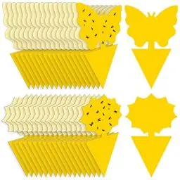 Produktbild: 36 x Gelbsticker trauermücken bekämpfen, Thripse Bekämpfung Gelbtafeln Fruchtfliegenfalle klebefalle Insektenfalle für die Zimmerpflanzen Schädlingsbekämpfung (36 Stück)