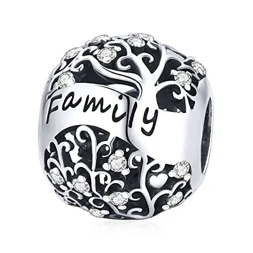 Produktbild: 925 Sterling Silber Familien freundschafts-Charm für Pandora-Armband,Geschenk für Schwester Freundin