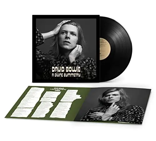 Produktbild: A Divine Symmetry (An alternative journey through Hunky Dory)
