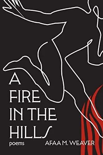 Produktbild: A Fire in the Hills: Poems