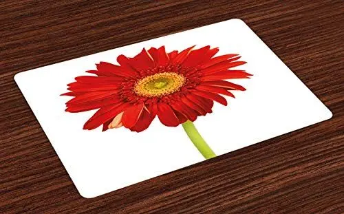 Produktbild: ABAKUHAUS Gerber Daisy Platzmatten, Nahaufnahme-Blumen-Foto, Digitaldruck Rutschfesten Stoff Tischdekoration für die Küche, Vermilion Apfelgrün