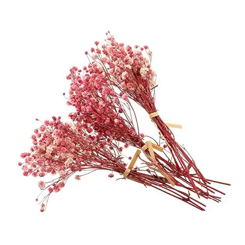 Produktbild: Abaodam 3 Bündel Getrockneter Blumenstrauß Kleiner Trockenblumenstrauß Getrocknete Lavendelblüten Künstliche Schleierkrautblumen Holzblumen Getrocknete Blumen. Braut Schurke Mach Es Selbst