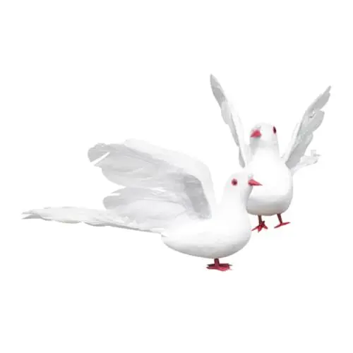 Produktbild: Abaodam Künstliche Tauben Deko Realistische Simulation Taubenfigur für Vogeldekorationen Langlebig und Vielseitig Einsetzbar