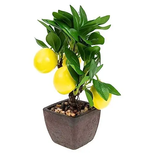 Produktbild: ABOOFAN 2 Stück Simulation Zitronen Bonsai Künstlicher Bonsai Gefälschter Zitronenbaum Gefälschter Zitronen Bonsai Dekorativer Bonsai Künstliche Pflanzen Heimdekoration Künstlicher