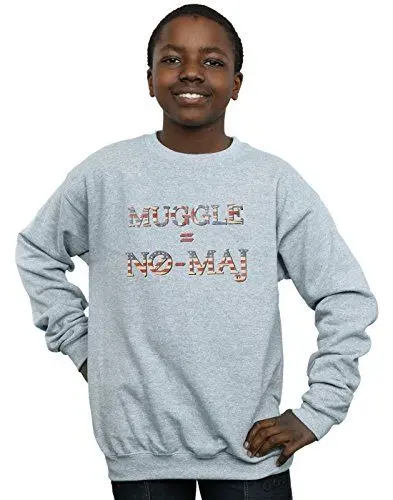 Produktbild: ABSOLUTECULT Fantastic Beasts Jungen No Muggle No Maj Sweatshirt Sport Grau 12-13 Years