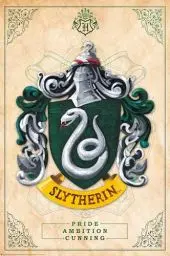 Produktbild: ABYstyle ABYDCO777 Harry Potter Slytherin Maxi-Poster 61 x 91,5 cm