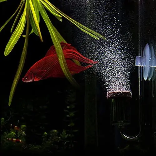 Produktbild: ACRYL-AQUARIUM-CO2-BLASENZÄHLER-REFINER FÜR AQUARIEN-WASSERPFLANZEN (S)