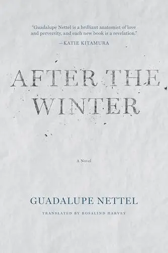 Produktbild: After the Winter