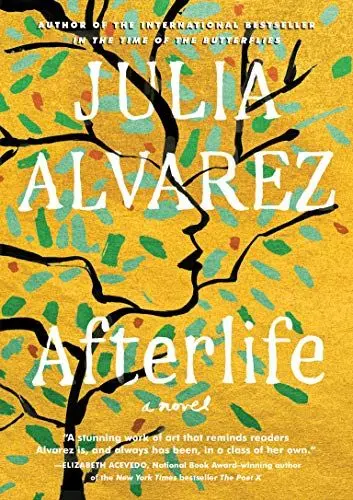 Produktbild: Afterlife: A Novel
