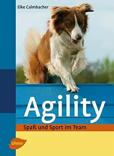 Produktbild: Agility: Spaß und Sport im Team