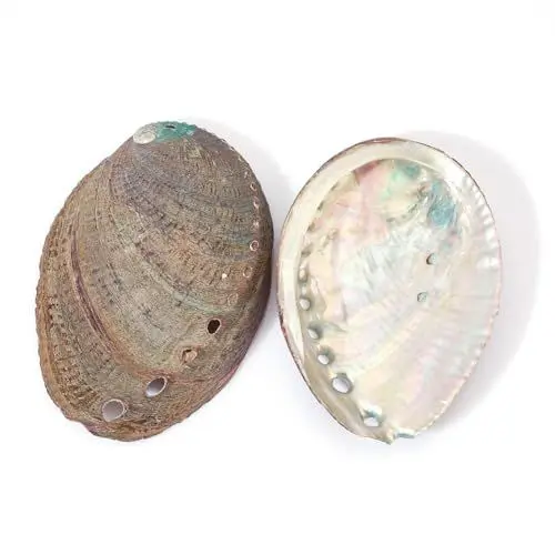 Produktbild: AHANDMAKER 2 Stück Abalone-Muschel, 3-4.5,(1) cm, Polierte Abalone-Muschel, Weißer Salbei-Brenner, Halter, Räucherschale, Räuchergefäß Für Weißen Salbei, Dekoration Für Aquarium-Ansicht