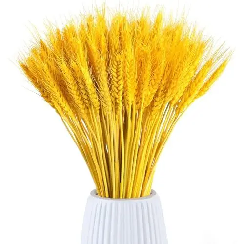 Produktbild: AhLmA 100 Stück Getrockneter Weizen Getreide ähren Trockenblumen Getreide Getrocknete Blumen 45cm Getrocknetes Weizenbündel Künstliches Stroh Weizen ähren Einladung Für Kamine Haus Küche Tische