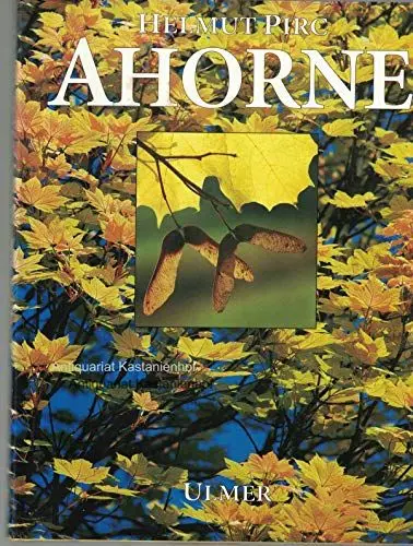 Produktbild: Ahorne