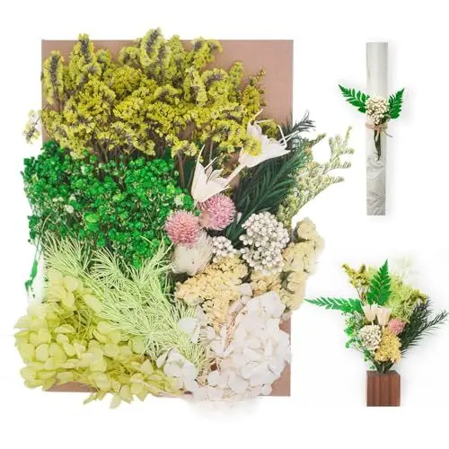 Produktbild: AIM & GGKK Natürliche Trockenblumen Klein Grün,Strohblumen getrocknet Zum Basteln für DIY-Kerzenharz, deko hochzeitsgeschenk,Karten Deko,Trockenblumen Weihnachten,Geschenkverpackungen