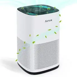 Produktbild: AIRTOK Luftreiniger, Luftreiniger Raucherzimmer mit H13 True HEPA Filter| 793 ft2 (75㎡) Abdeckung Max| Luftreiniger Filter für 99.97% Rauch Schuppen Geruch| Ozon-frei, Nachtlicht, AP1001
