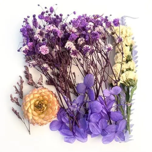 Produktbild: AIYONG Getrocknete Blumen, DIY Trockenblumen, Natürliche Getrocknete Blumen, Trockenblumen Gepresste Blumen für Basteln Epoxidharz Scrapbooking Deko, Kerzenherstellung (Lila)