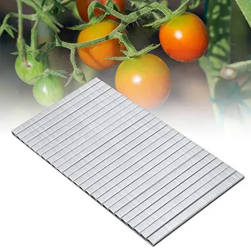 Produktbild: Akozon 10000 Stück Tackernadeln, Heftklammern, Tacker, Pflanzenbindemaschine Klammern 604C Tomate Rebe Binder Nagel Tapetool Garten Nagel Zweig Binden Nagel für Tomaten, Gurken, Trauben, Paprika