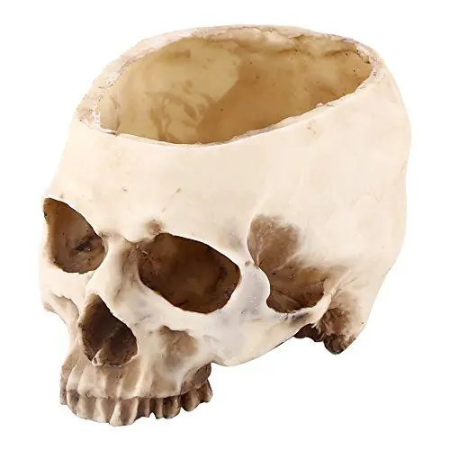 Produktbild: Harz Schädel Behälter, Halloween Schädel Kopf Design Topf Blume Pflanzer Süßigkeiten Schüssel Skulptur Skelett Dekoration für Home Office Schreibtisch, Plakat/Modell