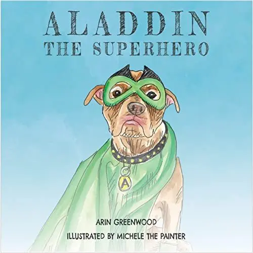 Produktbild: Aladdin the Superhero