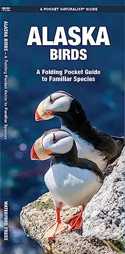 Produktbild: Alaska Birds: A Folding Pocket Guide to Familiar Species (Wildlife and Nature Identification)