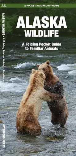 Produktbild: Alaska Wildlife: A Folding Pocket Guide to Familiar Species: A Folding Pocket Guide to Familiar Animals (Wildlife and Nature Identification)