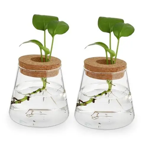 Produktbild: Alipis Eleganter Hydrokultur-pflanztopf Aus Glas 16 5 cm Vulkanform Für Büro Und Zuhause