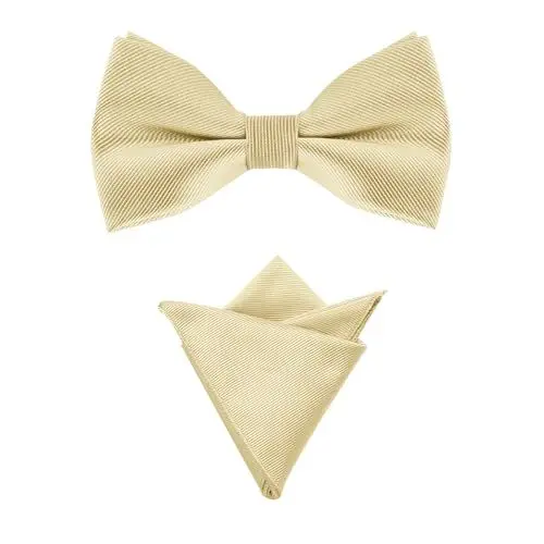 Produktbild: Allegra K Herren Hochzeitsfeier Vorgebundene Einfarbig Fliege Einstecktuch Set Champagner One Size